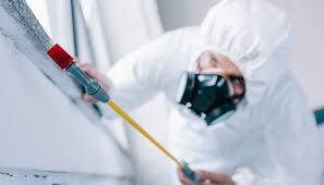 Pest Control for Warehouses in Manning, SC